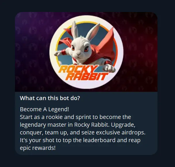 Rocky Rabbit (راکی ربیت)